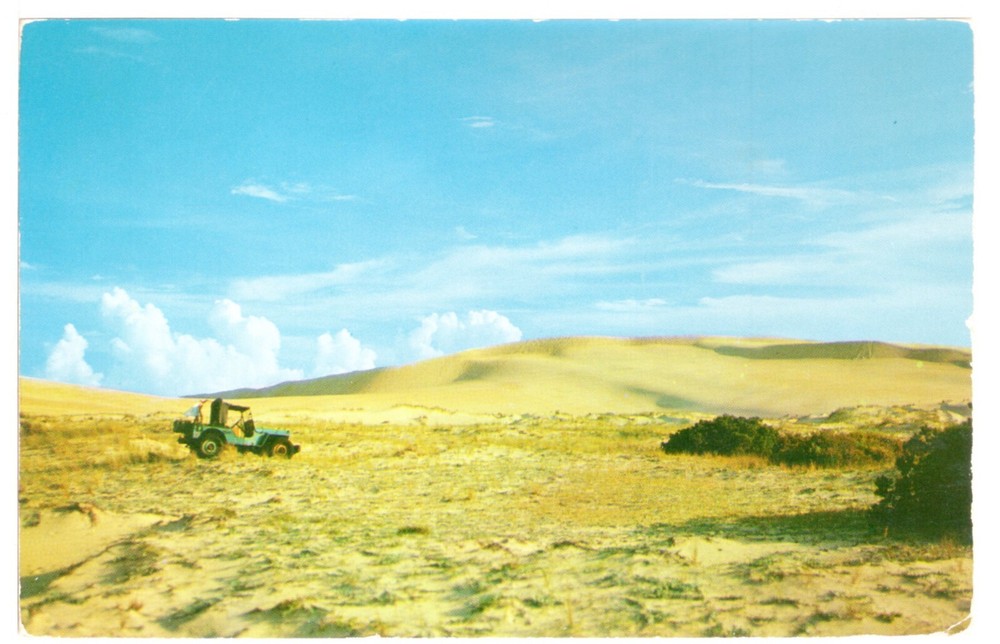 NAGS HEAD, N.C. - PC3302