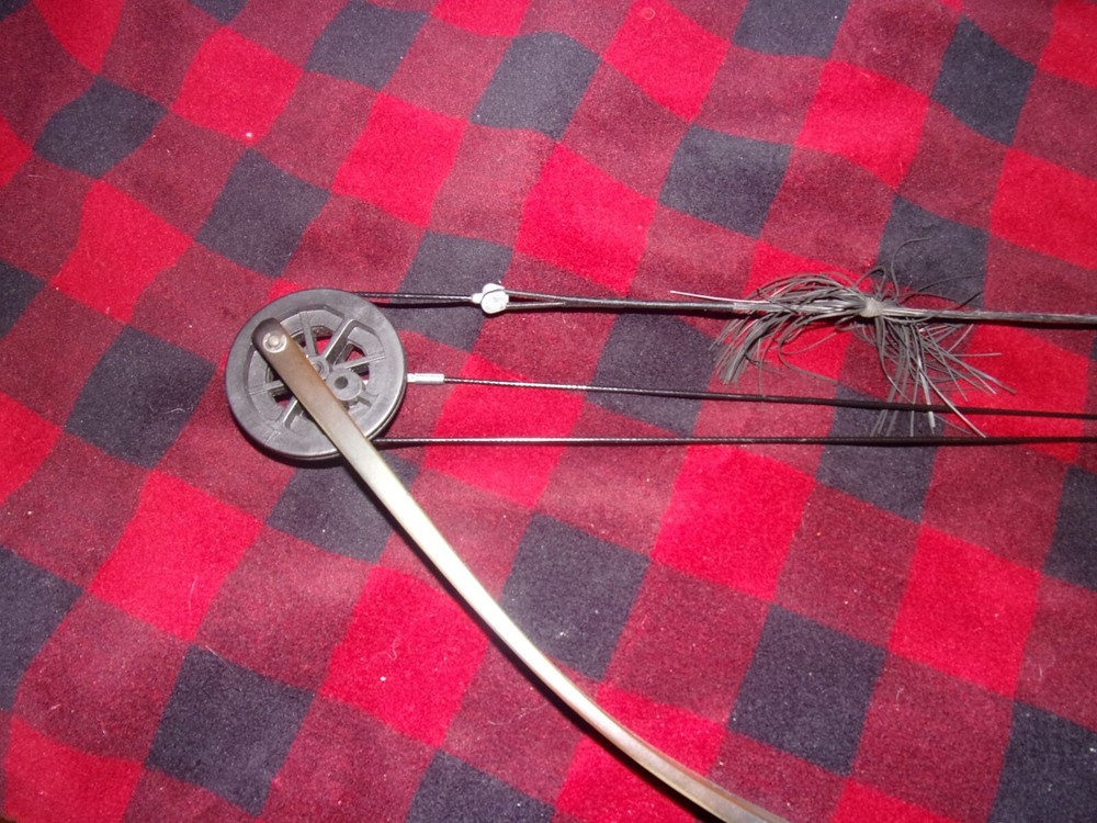 Darton WH300 Compound Bow