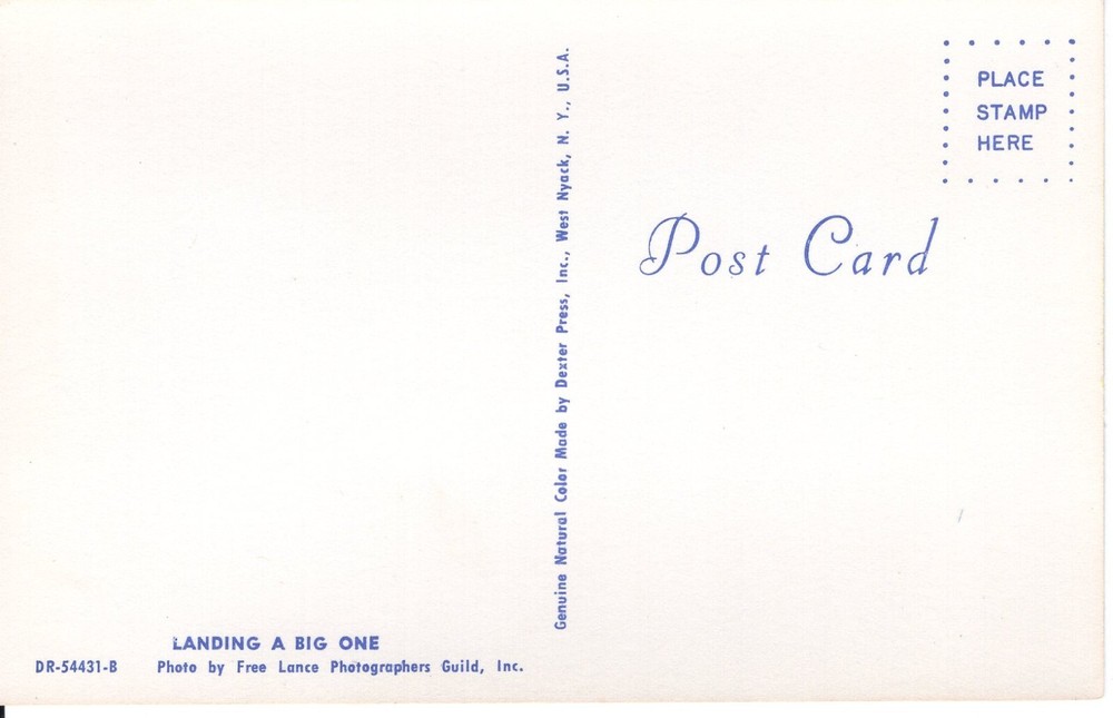 LANDING A BIG ONE - PC1430