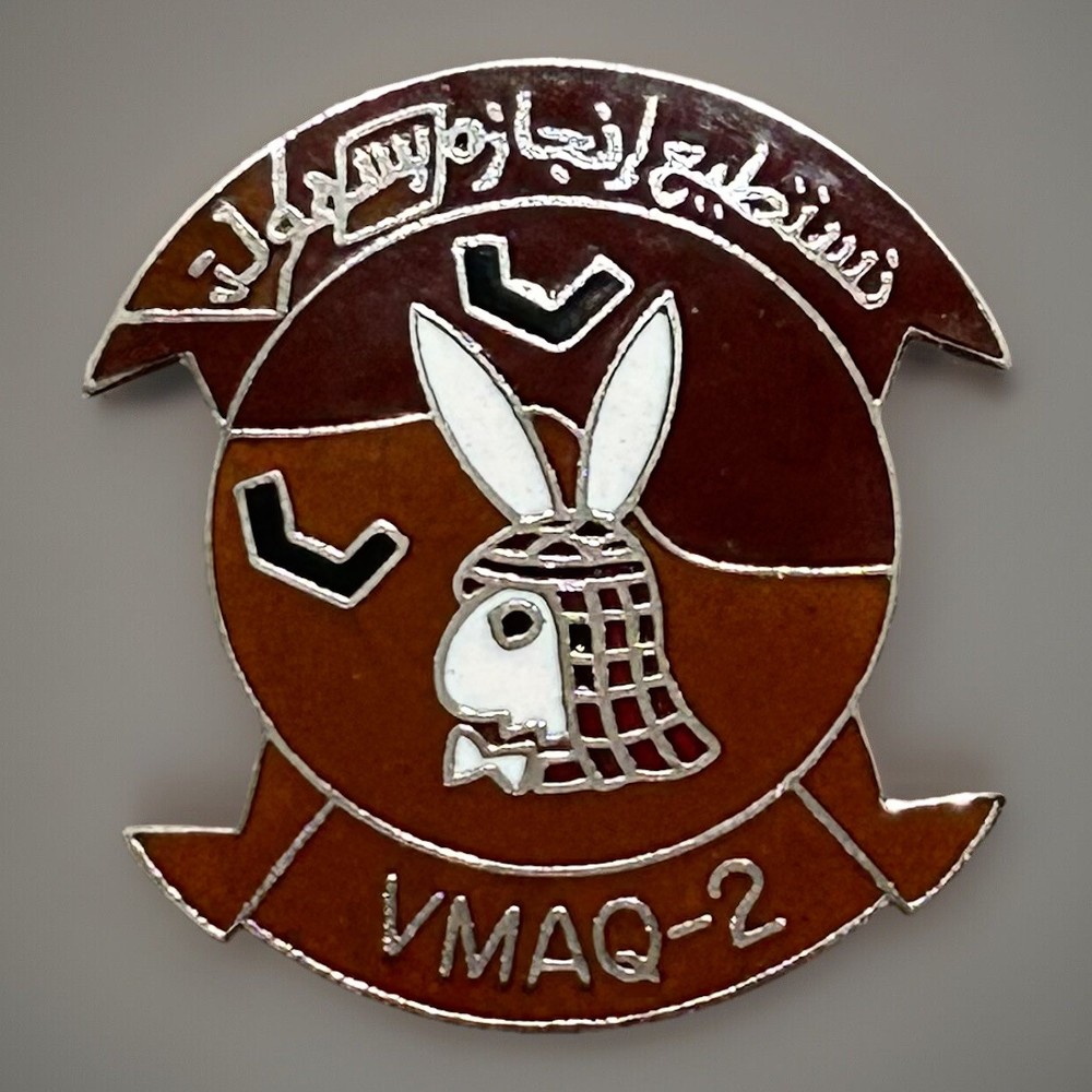 US Marines VMAQ-2 Pin USMC