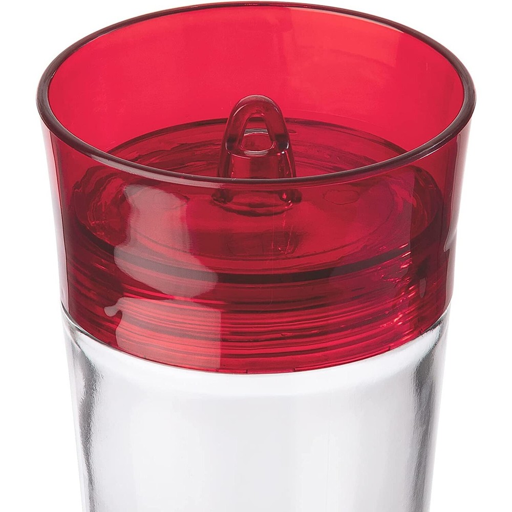 Garnet Hummingbird Feeder