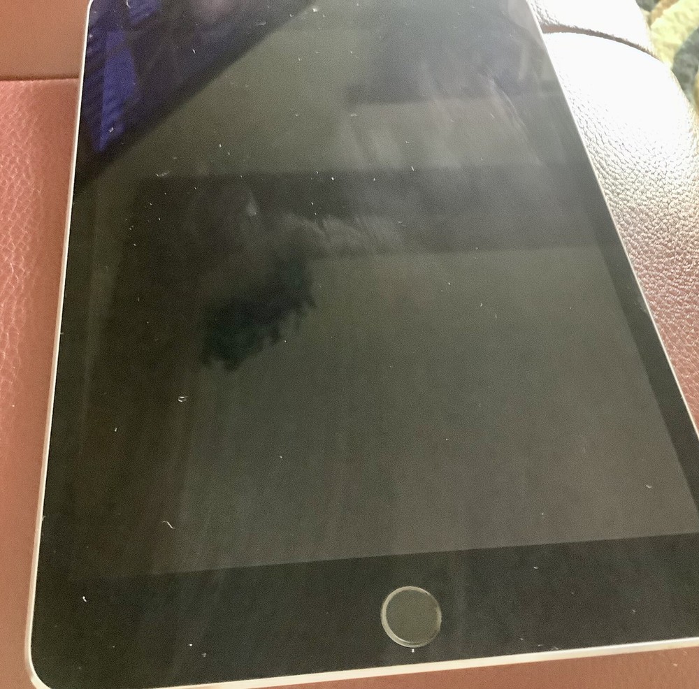 iPad Mini 4 16 GB, Exterior Excellent Condition, Battery Needs Replacing
