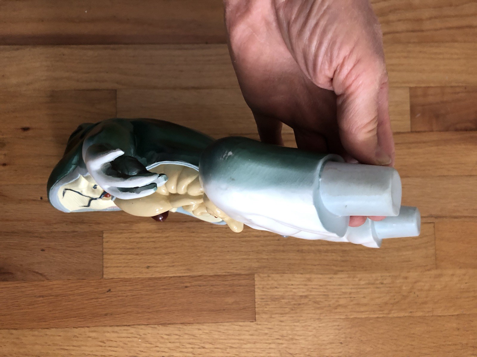 VTG Nystrom Bull Frog 3D Numbered Model Dissection Anatomy Biological 1970s 16"