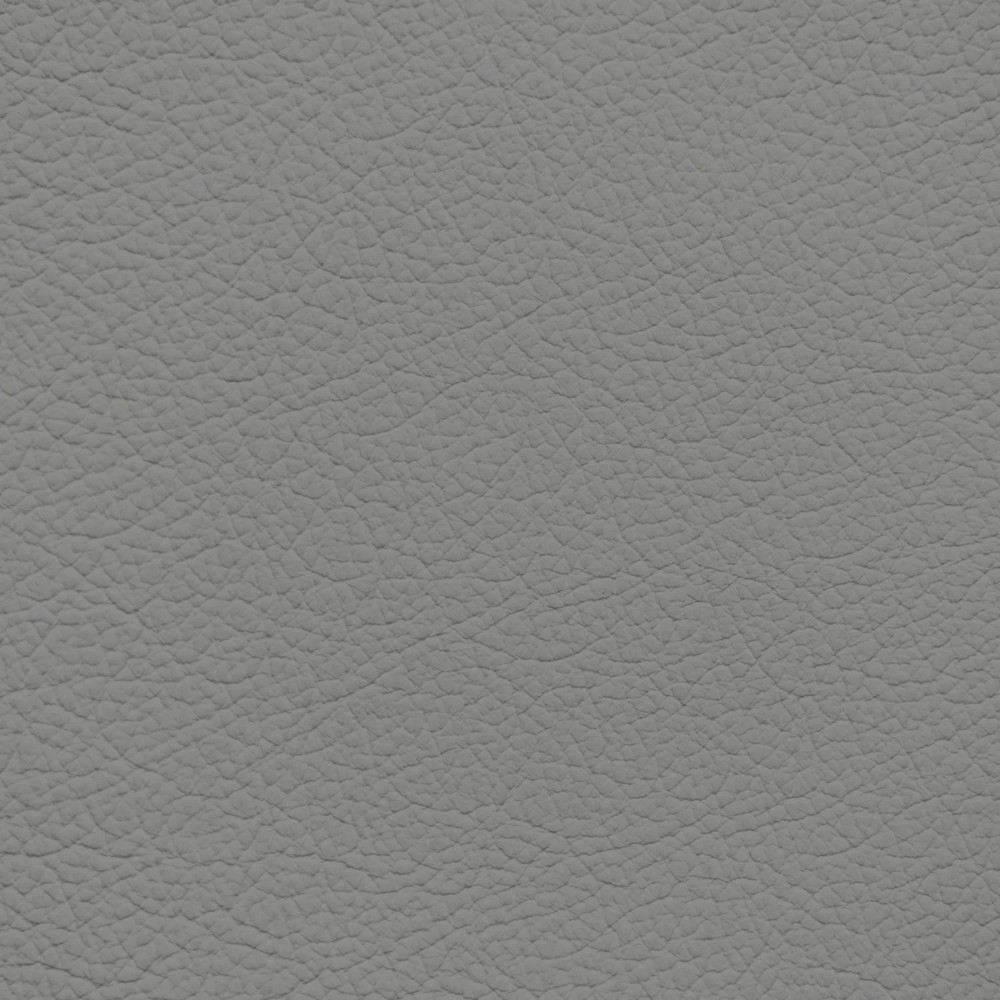 GM Light Steel Leather Dye