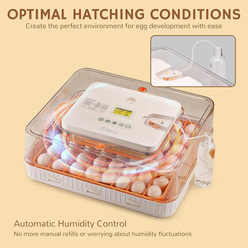 Nestasy Prohatch56 Automatic Egg Incubator with Temp Control & 56 Egg Capacity
