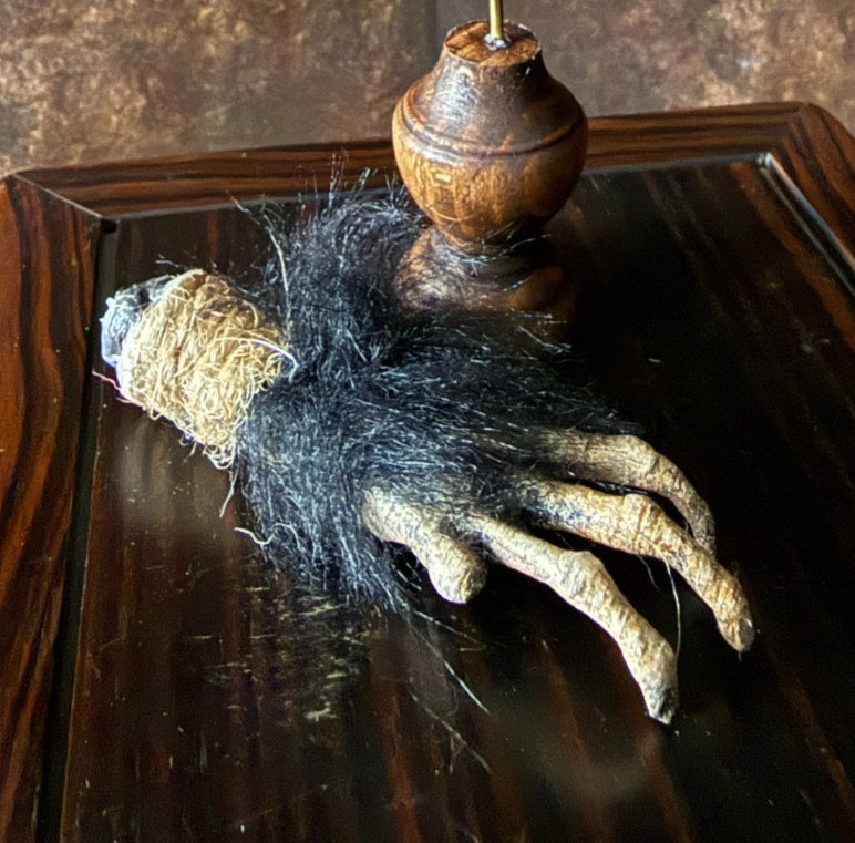 Cursed Monkey Paw for curiosity cabinet unmounted (small)