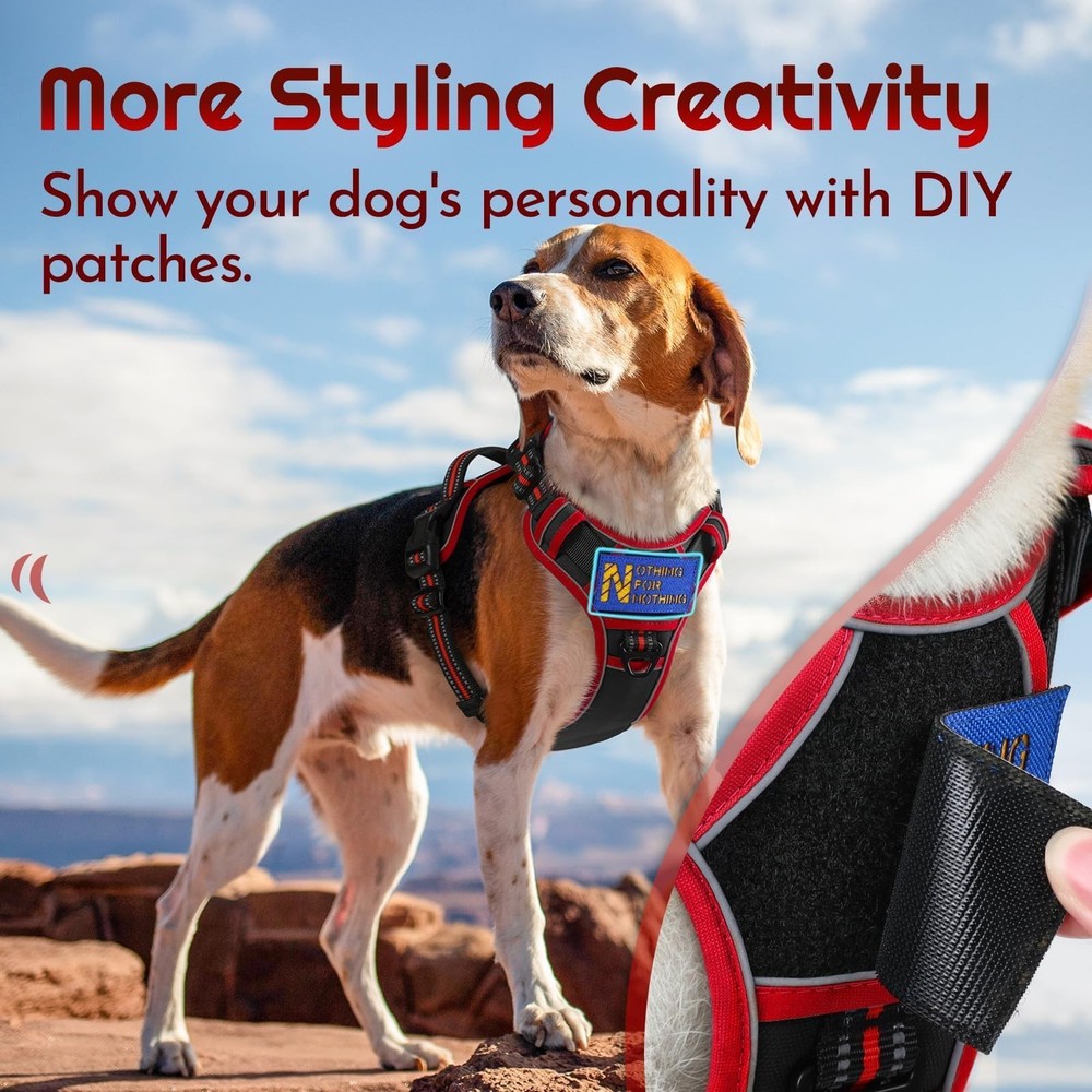 Dog Harness Small Sized, Easy Wearing with 3 Buckles, Adjustable No Pull Pet ...