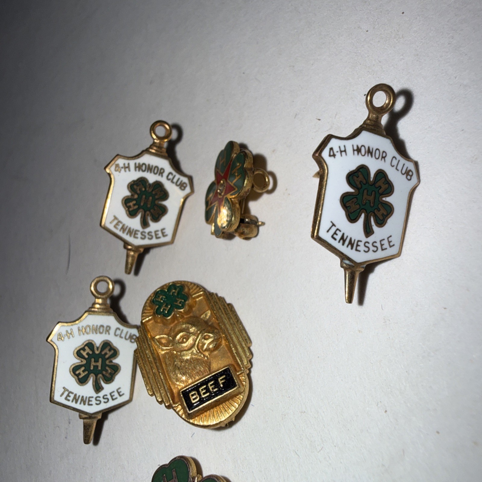 Vintage 4-H Club Pins Lot Of 6 HTF Gold Filled Pins 1-20th 10k