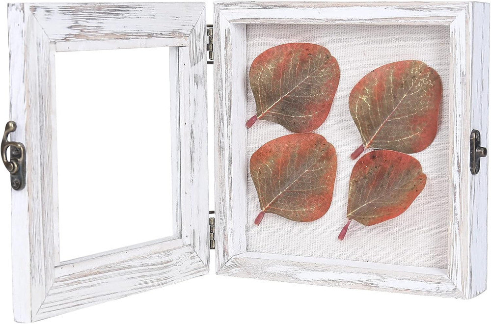 Shadow Box 6X6, Hinged Shadow Boxes Display Cases for Seashell Antique Ticket St