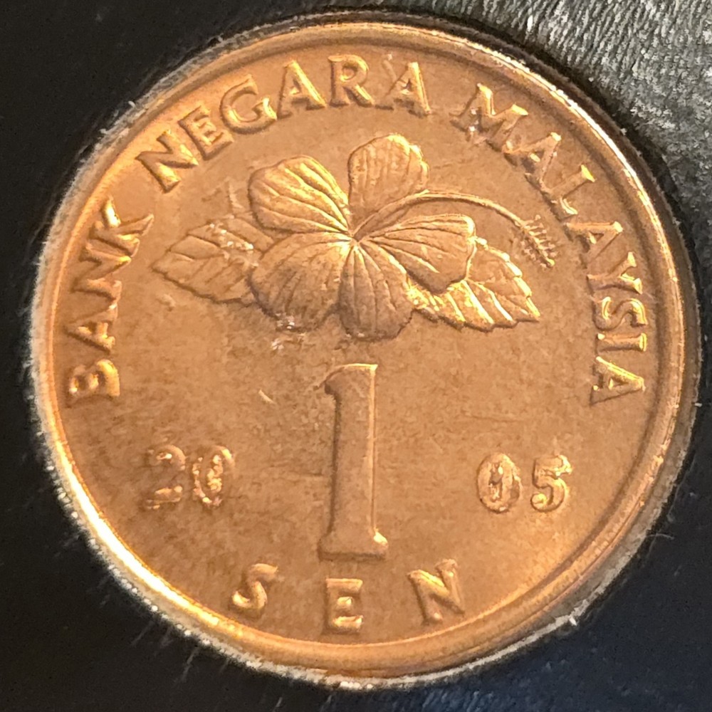 2005 MALAYSIA 1 SEN COIN WITH MULTIPLE ERRORS BOTH SIDES