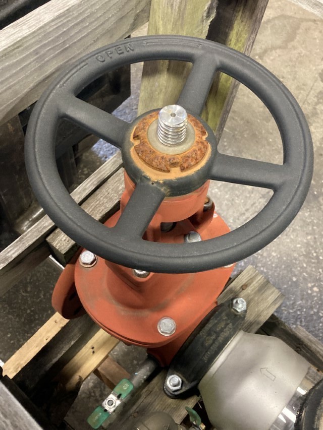 Wilkins 4" Double Check Protector 250Psi, MDL48