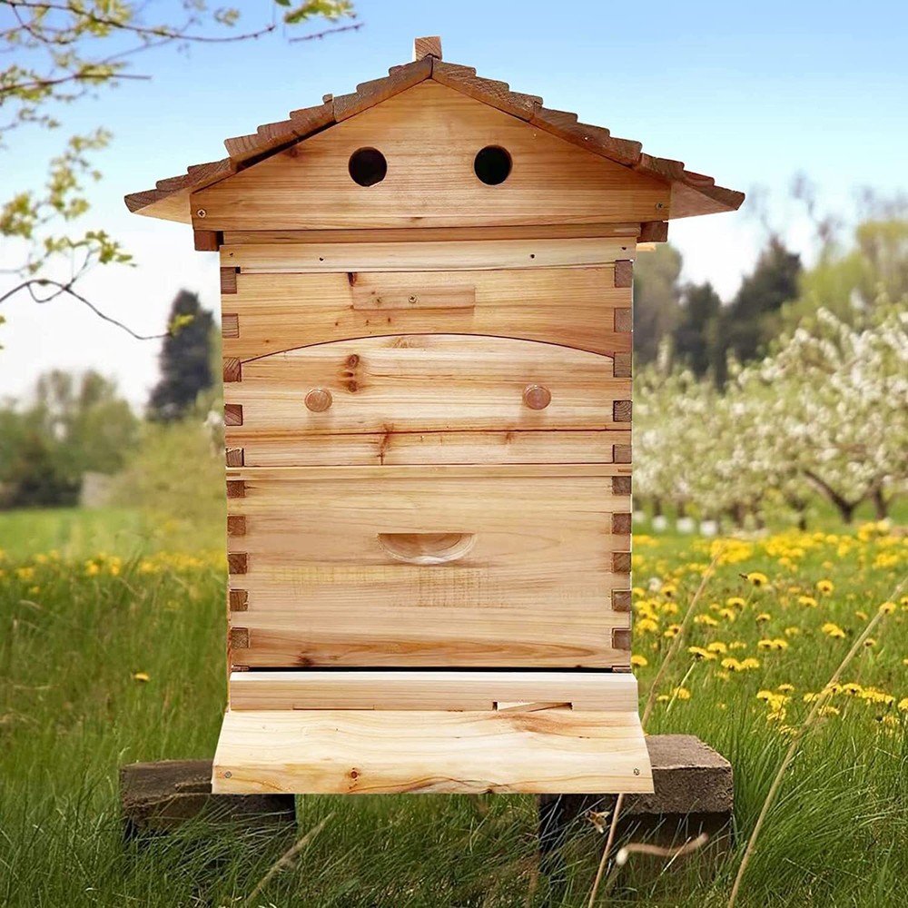 Auto Shed Bee Hive House Waxed Beekeeping Boxes Beehives &7 Plastic Bee Frames