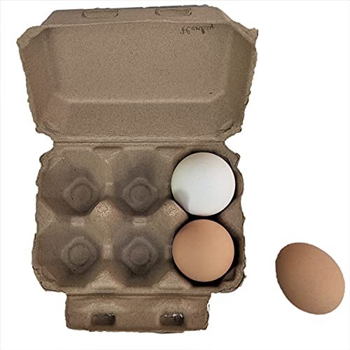 Blank Half-Dozen Egg Cartons Recyclable Pulp 100 Pack