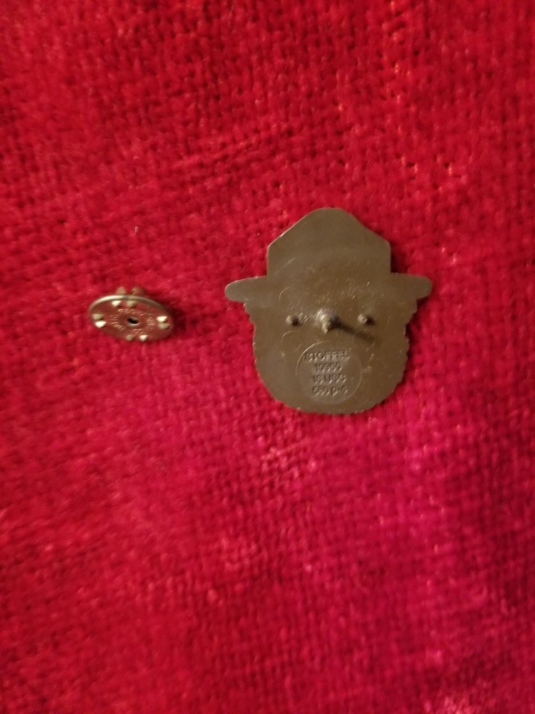 SMOKEY THE BEAR Plastic Lapel Pin