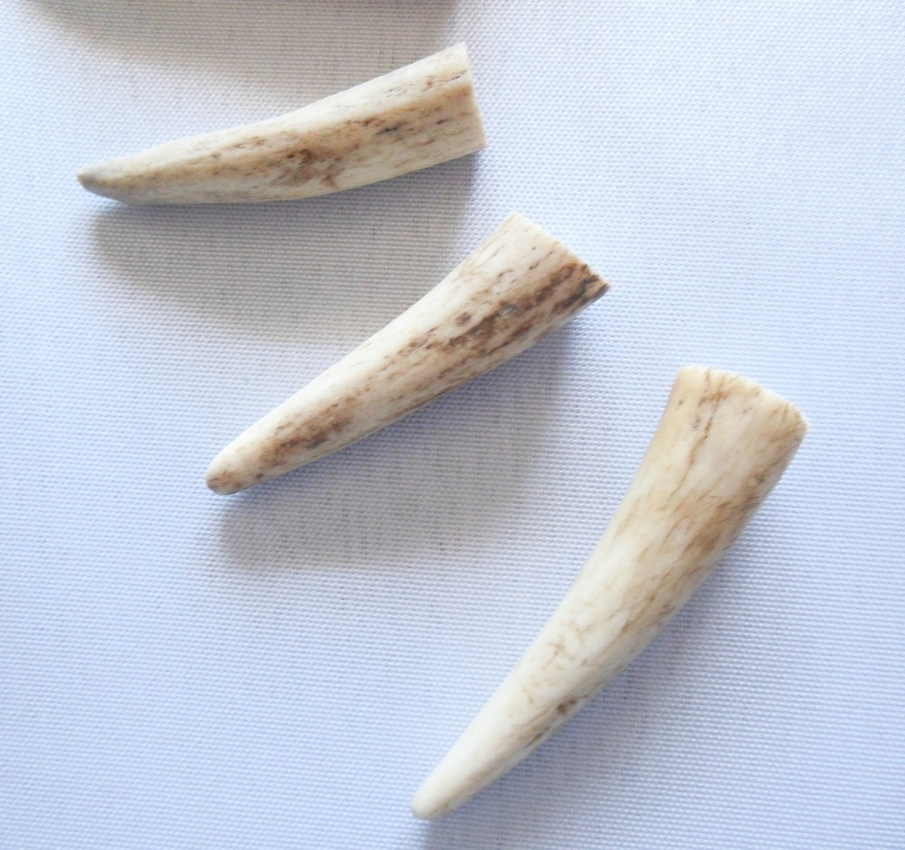 Deer Antler Tips