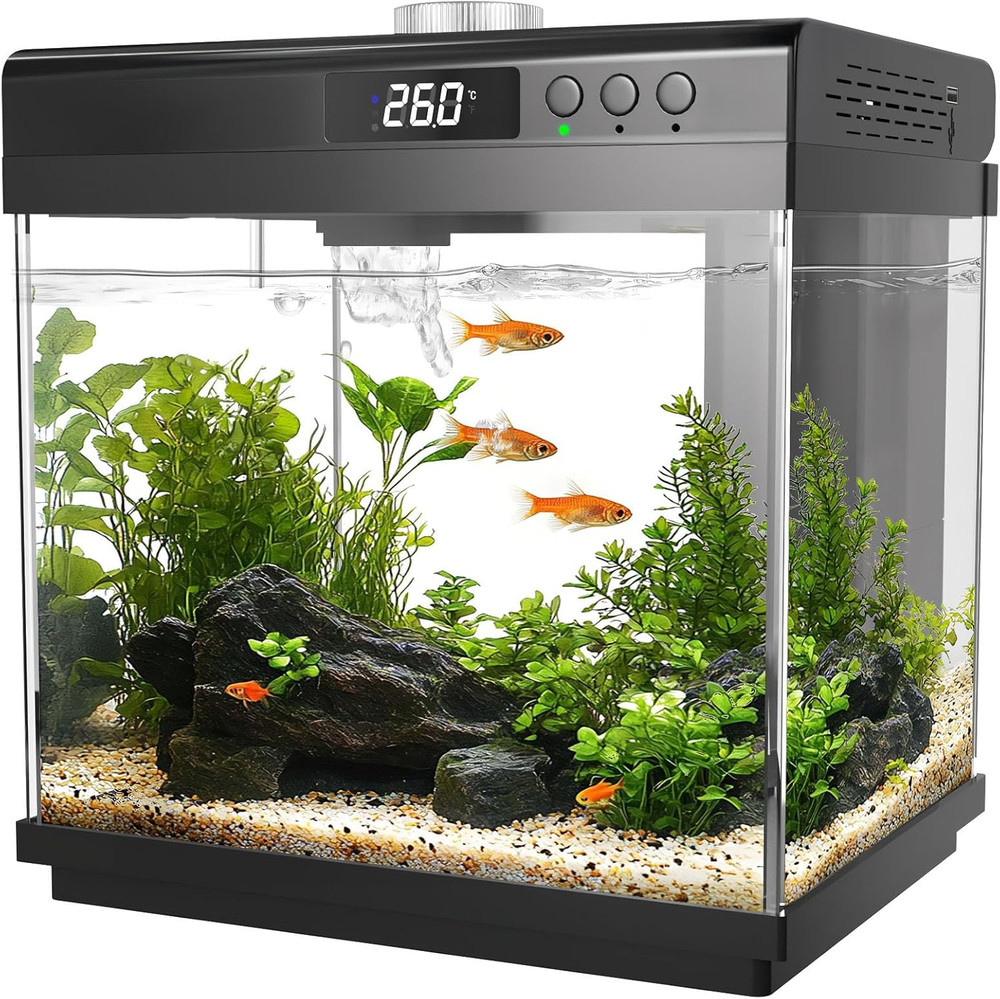 3.7 Gallon Betta Fish Tank Starter Kit with Filter & Adjustable Light - Black