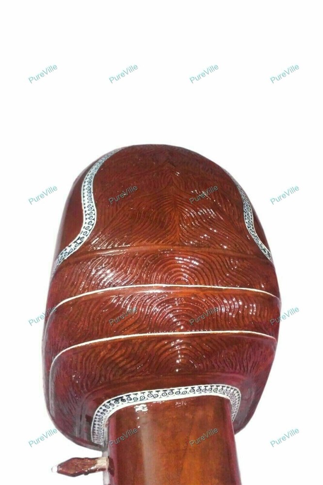 Class West Rajasthani Musical String Sindhi Saranda Instrument Saranda