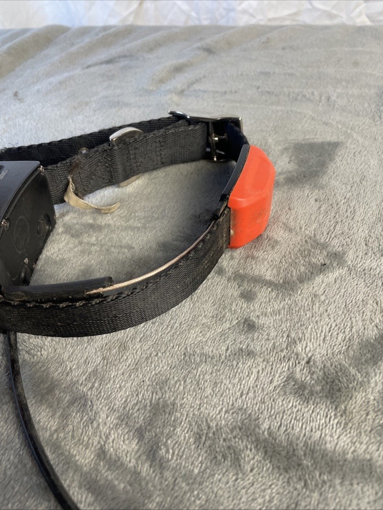 Garmin T5 GPS Dog Tracking Collar