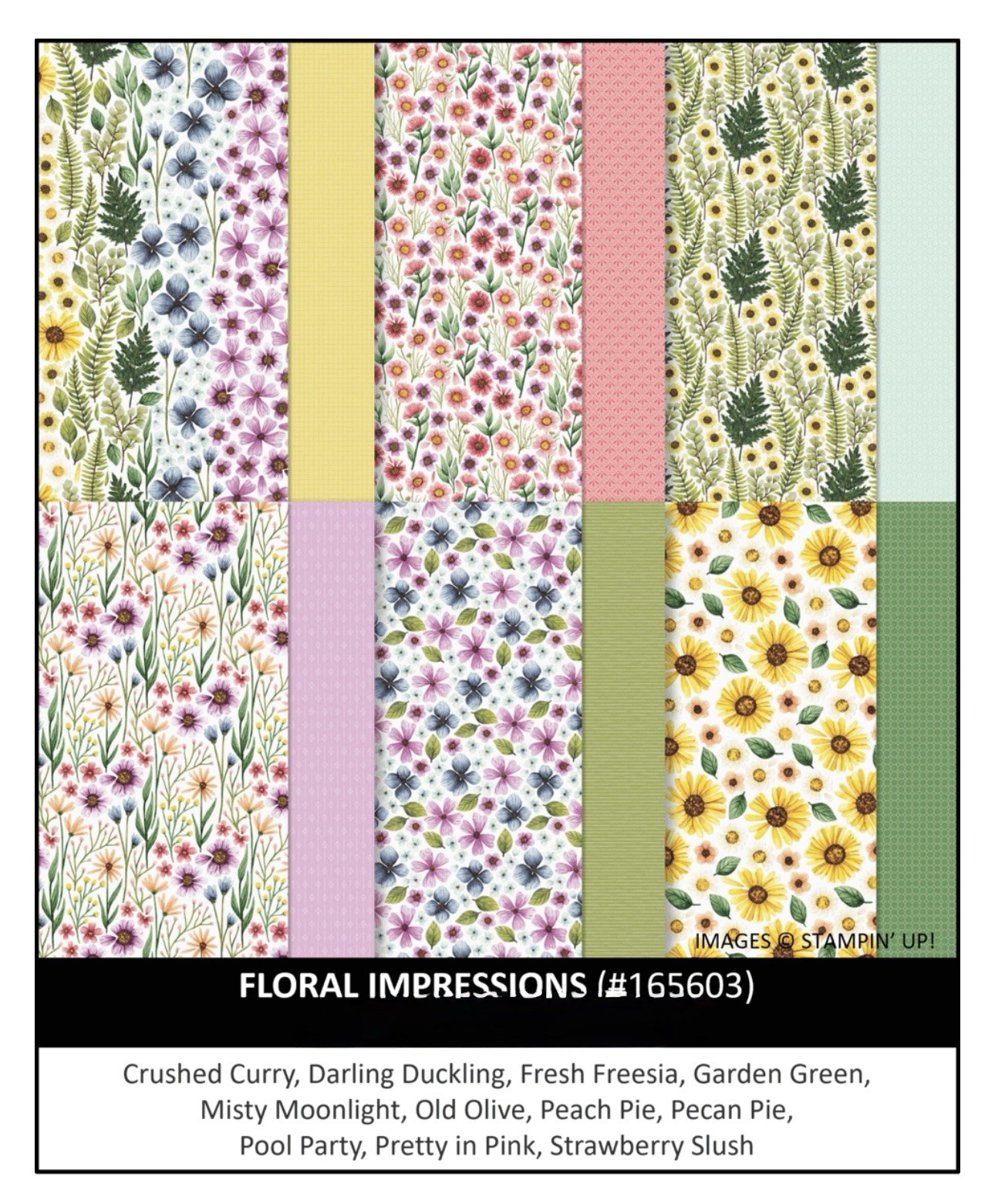 Stampin Up FLORAL IMPRESSIONS (24) 6x6 Sheets Designer Series Paper DSP NEW