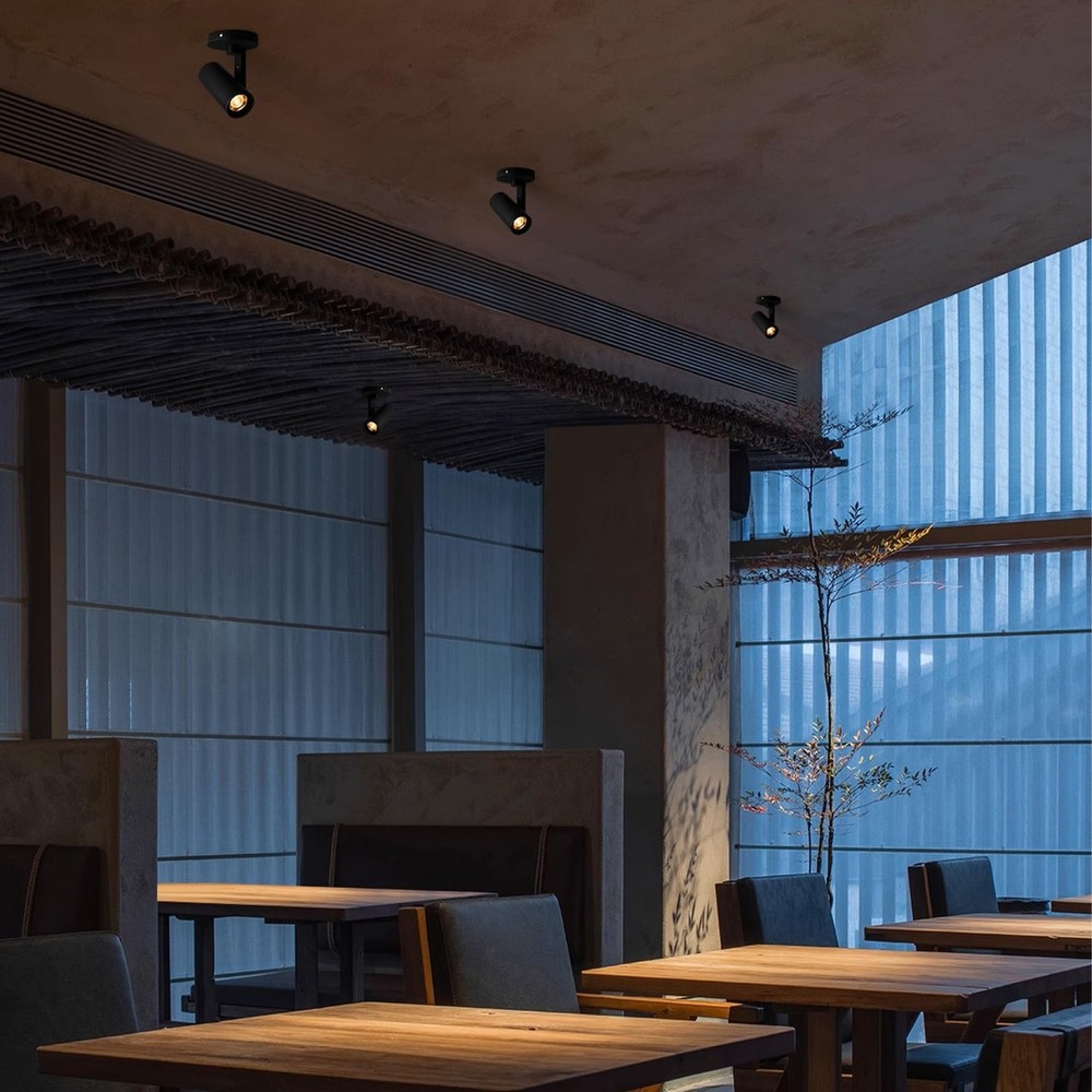 Aisilan 12W LED Zoomable Ceiling Spotlight, Dimmable Surface Mount Adjustable...