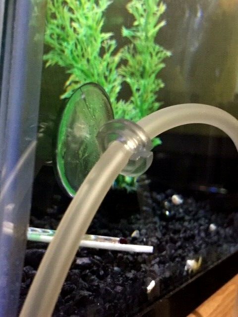 100X AQUARIUM CLEAR AIR LINE SUCTION CUPS STANDARD SIZE TUBING