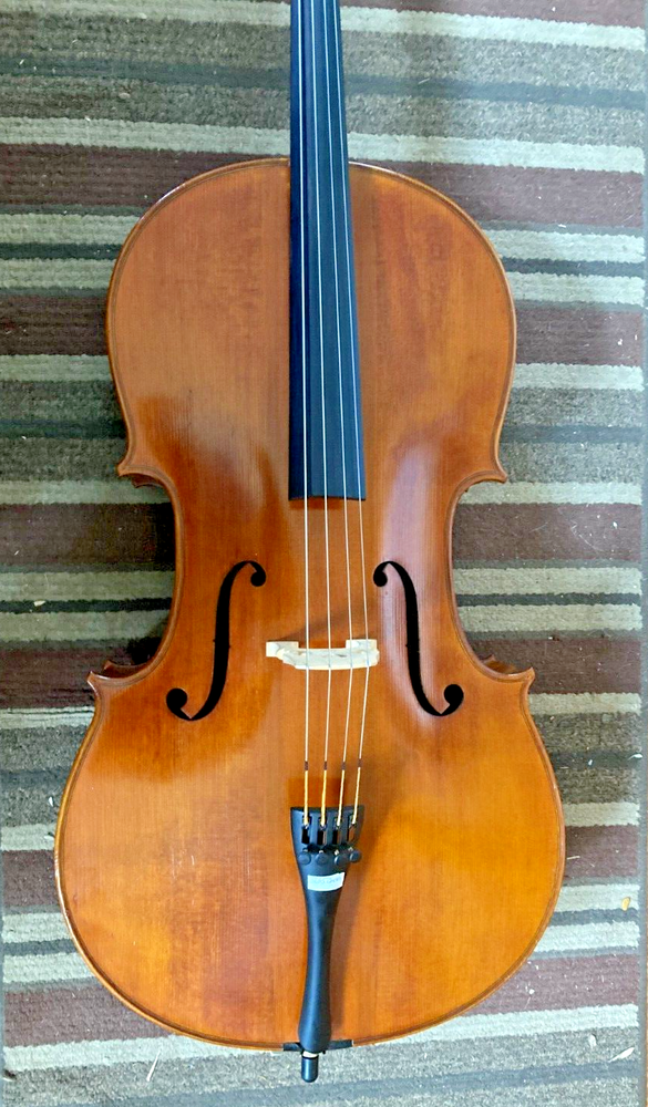 Cello - Rosalia 3/4 Mod. C-9- yr. 2006 used