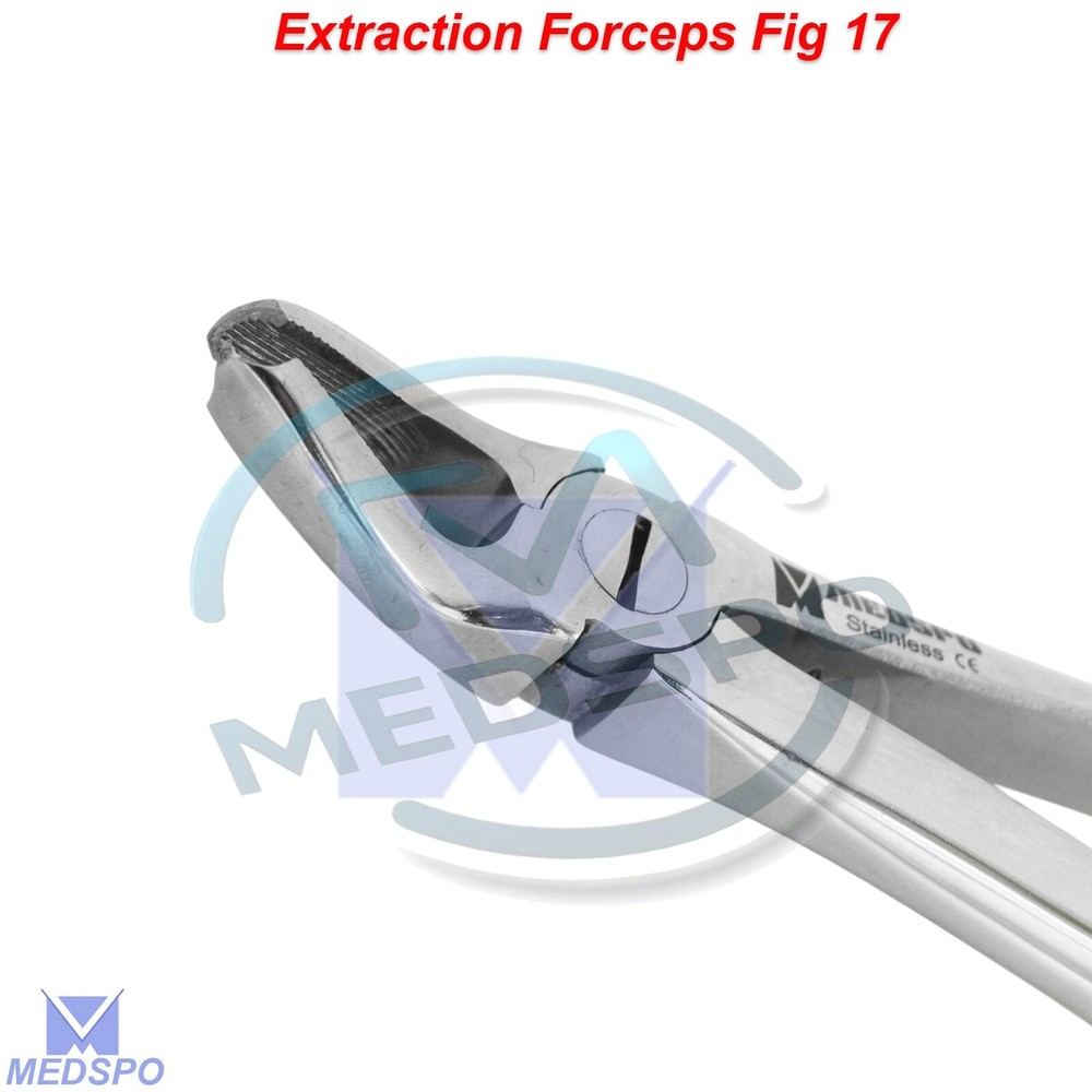 Tooth Extracting Extraction Forceps Fig 17 Right Upper Molar Dental Instruments