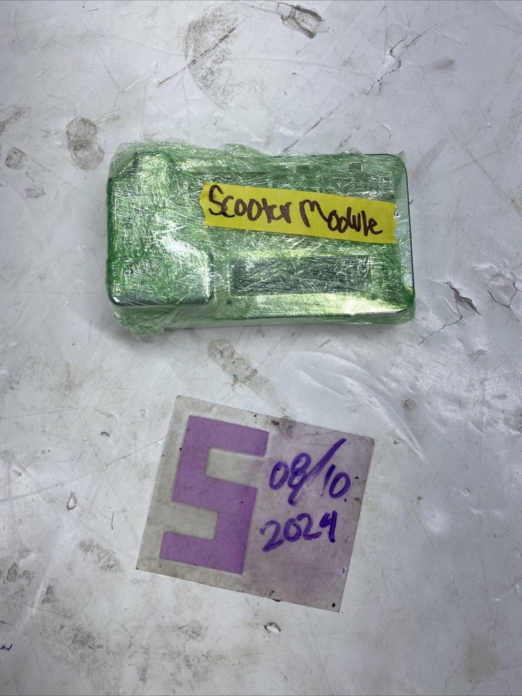 Golden Buzzaround Lite Scooter Control Module D50745.04