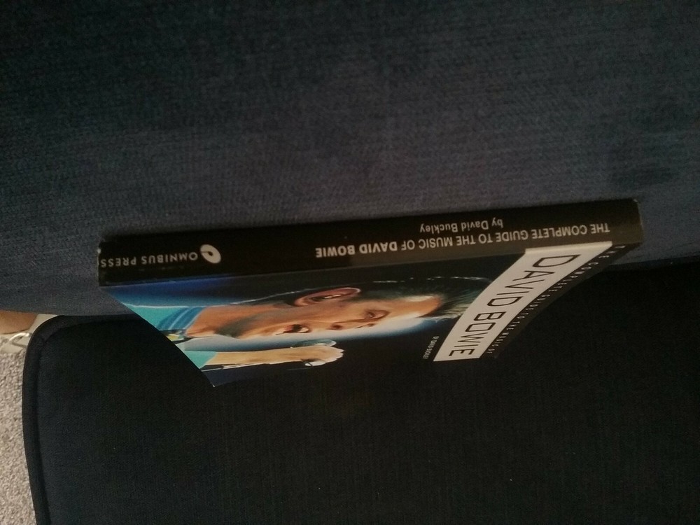 David Bowie Book