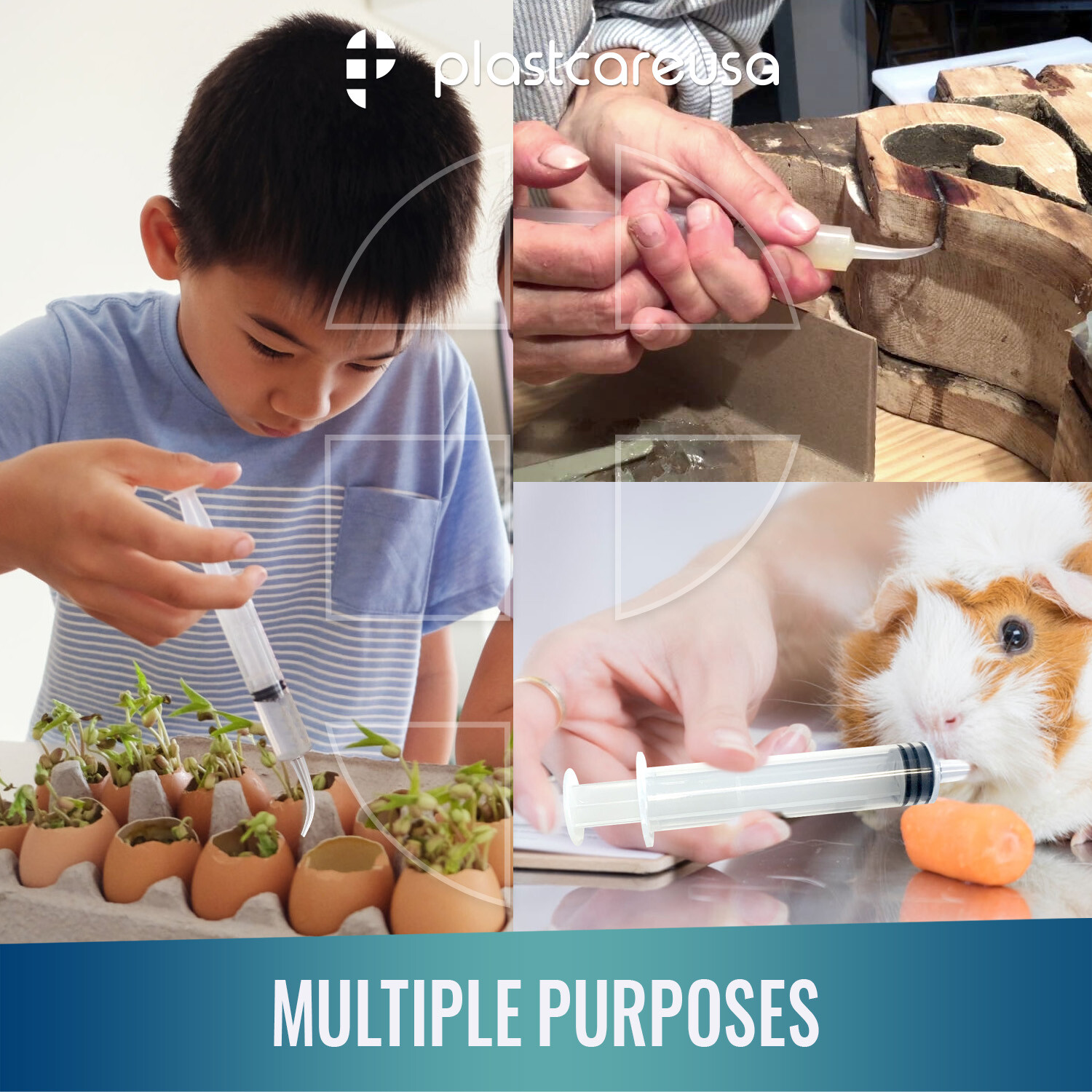 Curved Tip 12cc Oral Irrigation Syringes Disposable Dental Utility (Choose Qty)