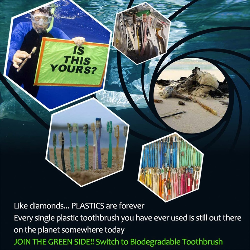 Biodegradable Bamboo Toothbrushes BPA Free Soft Bristles Compostable