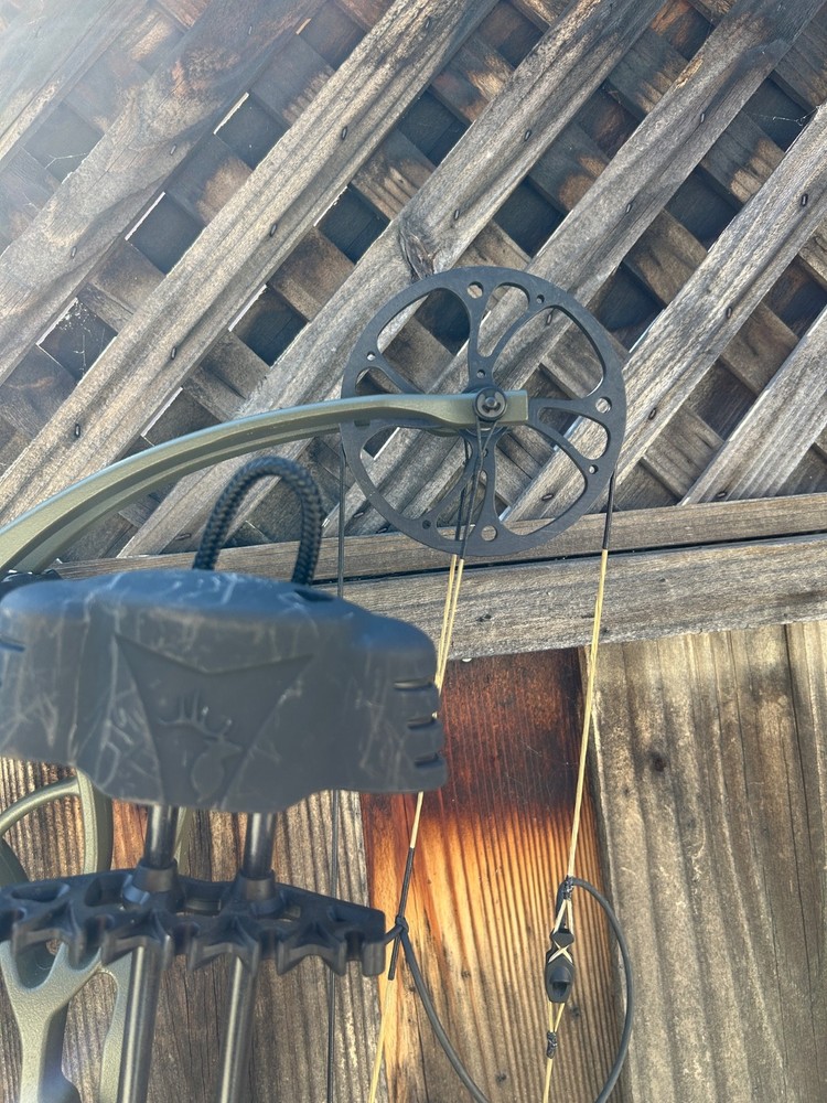 Bear Archery Whitetail Legend compound bow