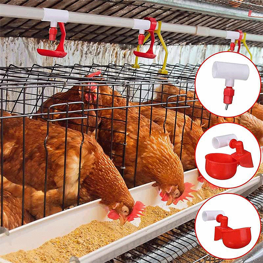 three-way Connector For Chicken Waterer Fully Automatic For Threaded Chicken