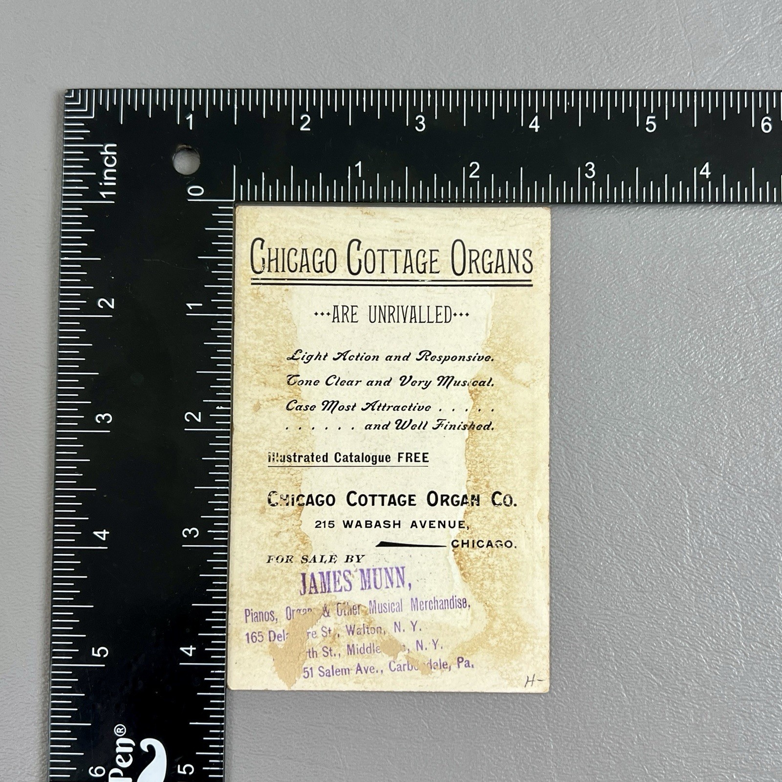 Victorian Trade Card Chicago Cottage Organs Chicago IL 3 Girls Ice Skating 4"