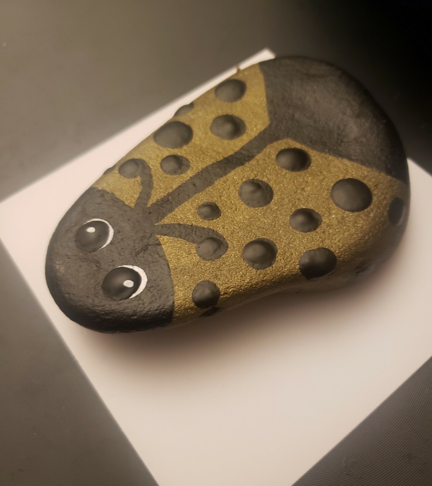 Ladybug painted mandala rock art