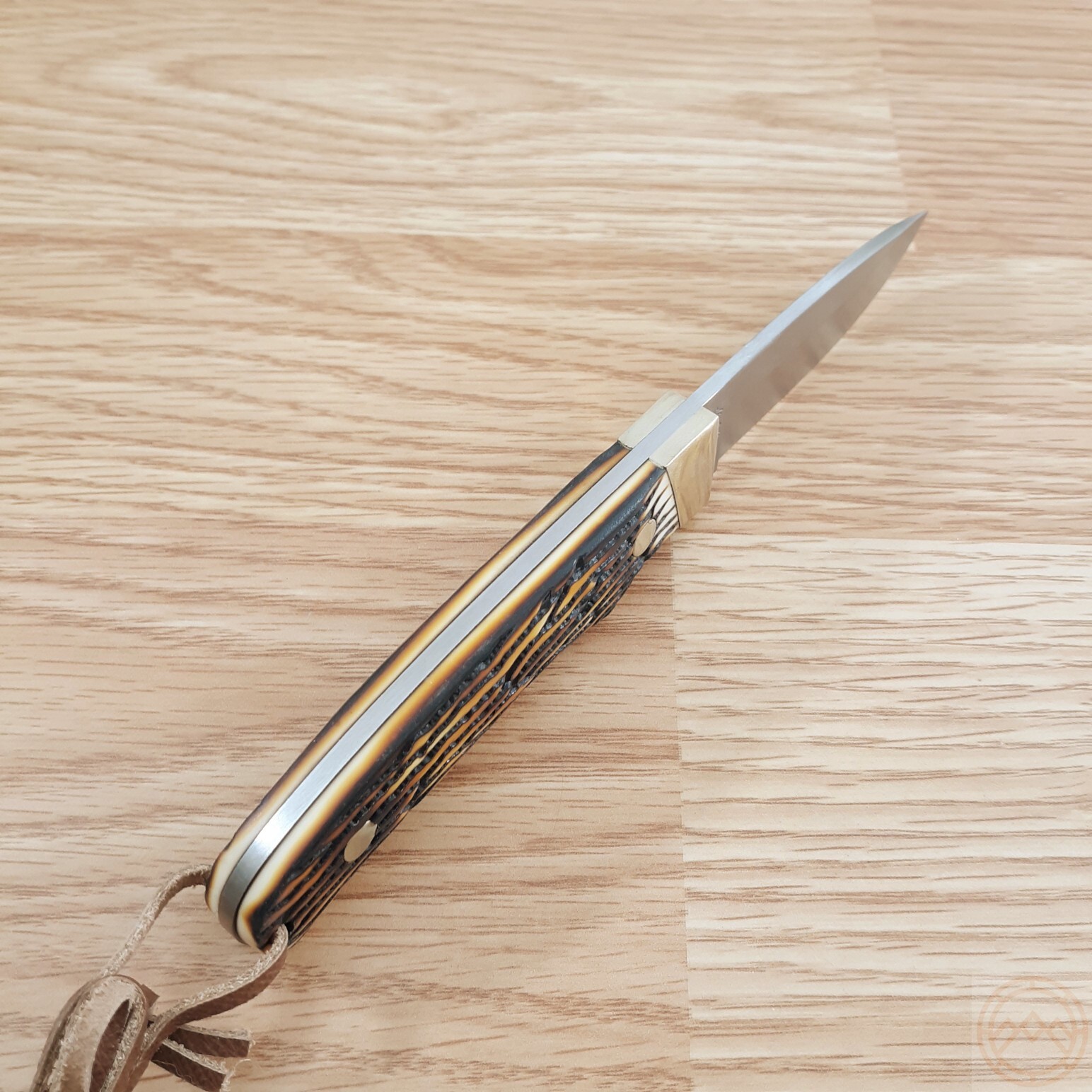 Schrade Hunter Fixed Knife 2.75" 7Cr17MoV Steel Full Tang Blade Staglon Handle