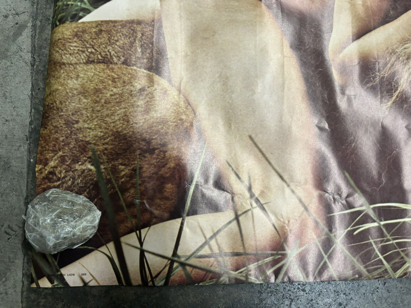 Girl with lion 1970's vintage Poster hot girl C2538