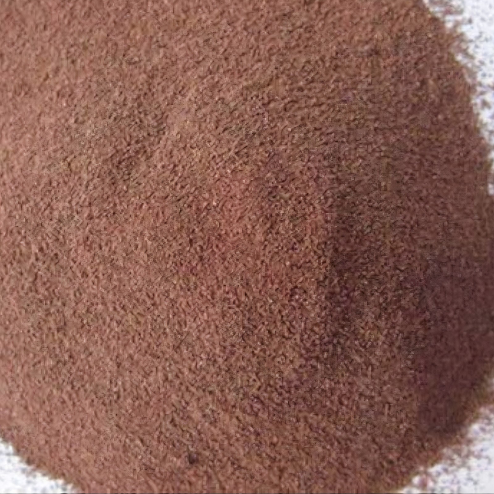 #Brine Shrimp eggs 90+% Hatch rate #live fish food 10gr pkg FREE SHIPP