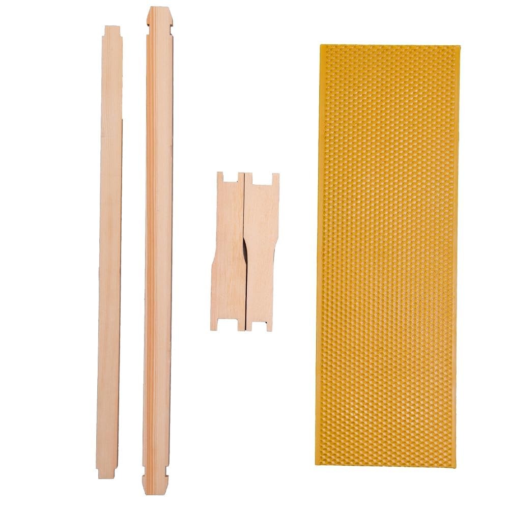 Medium Super Bee Hive Box with Frames and Waxed Foundations for Beginners