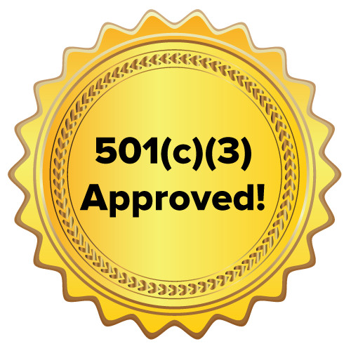 CHEAP DONATION TO CHARITY - HELP FUND TRANSITIONAL HOUSING FOR WOMEN & TEENS