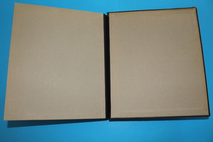 Germany Locals 1945 Hingeless Borek Specialty Springback Album BlueLakeStamps