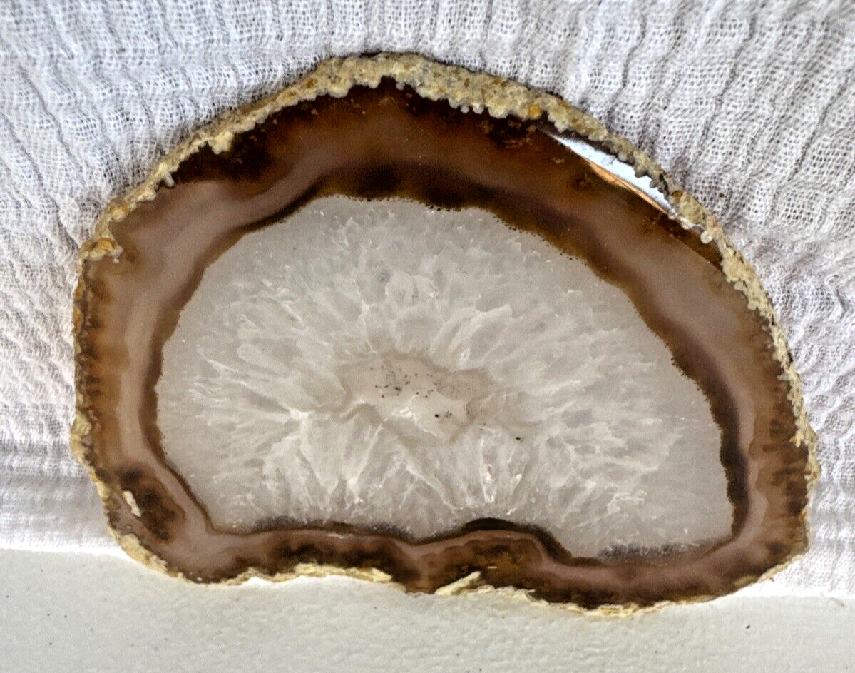 Beautiful Earth Tone Geode Slice Polished Natural Geode Mineral Rock Stone 5” W