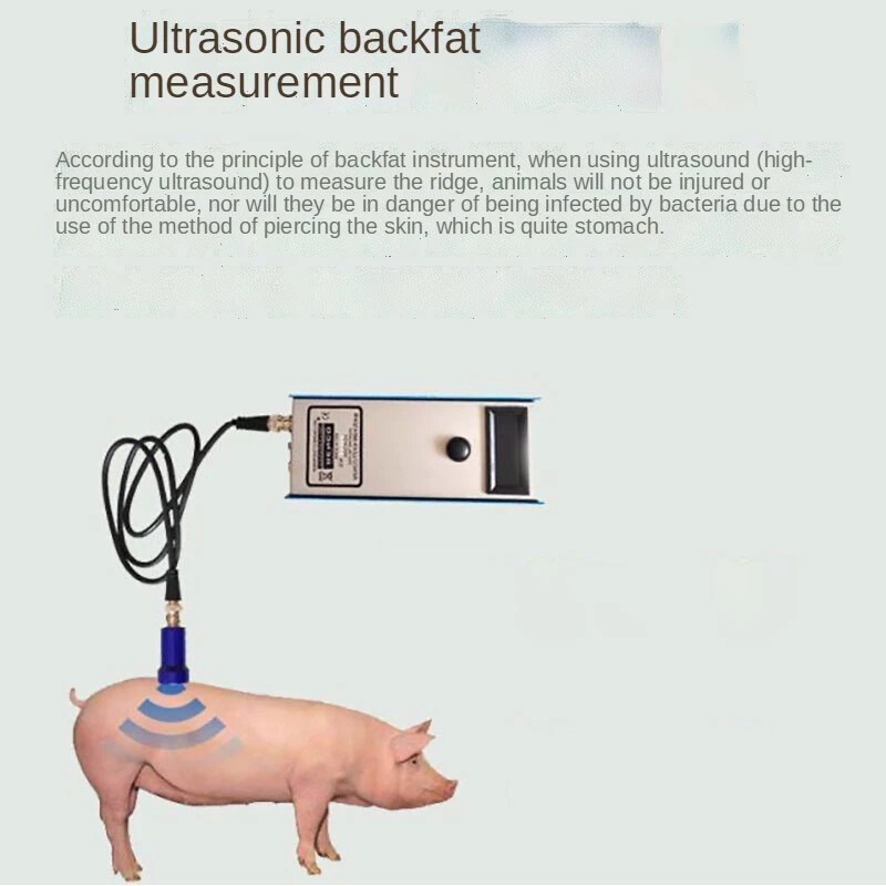 Pig Back Fat Detection Equipment Farm Animals Criterion Precise Detector