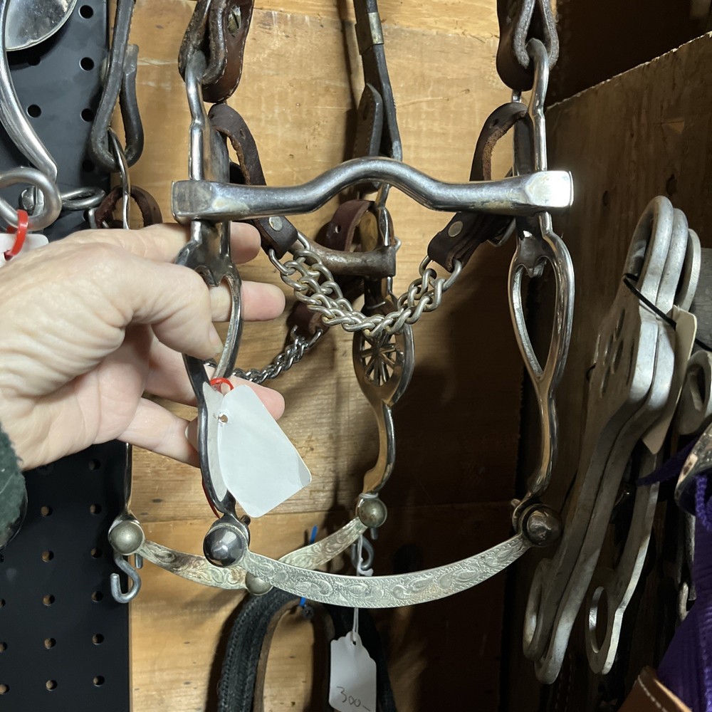 Silver Heart Show Curb Bit On Nice Headstall