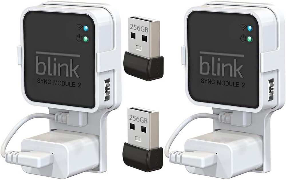 2-Pack 256GB Blink USB Flash Drive with Convenient Outlet Mount for Easy Setup