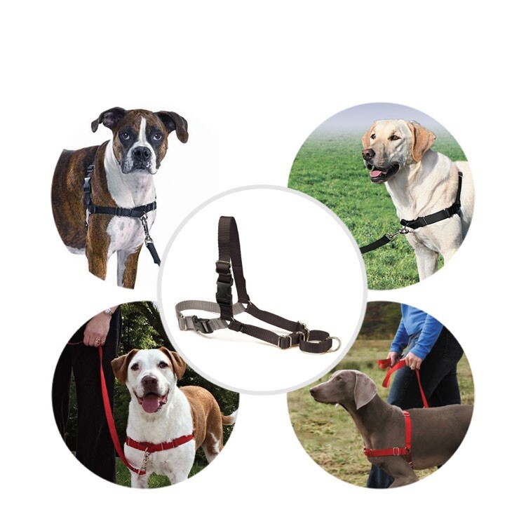 Easy No Pull Dog Harness, Black/Silver (LARGE) Quick On Off Release Buckle