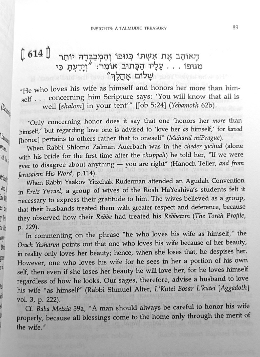 Insights : A Talmudic Treasury Vol. 2 By Rabbi Saul Weiss