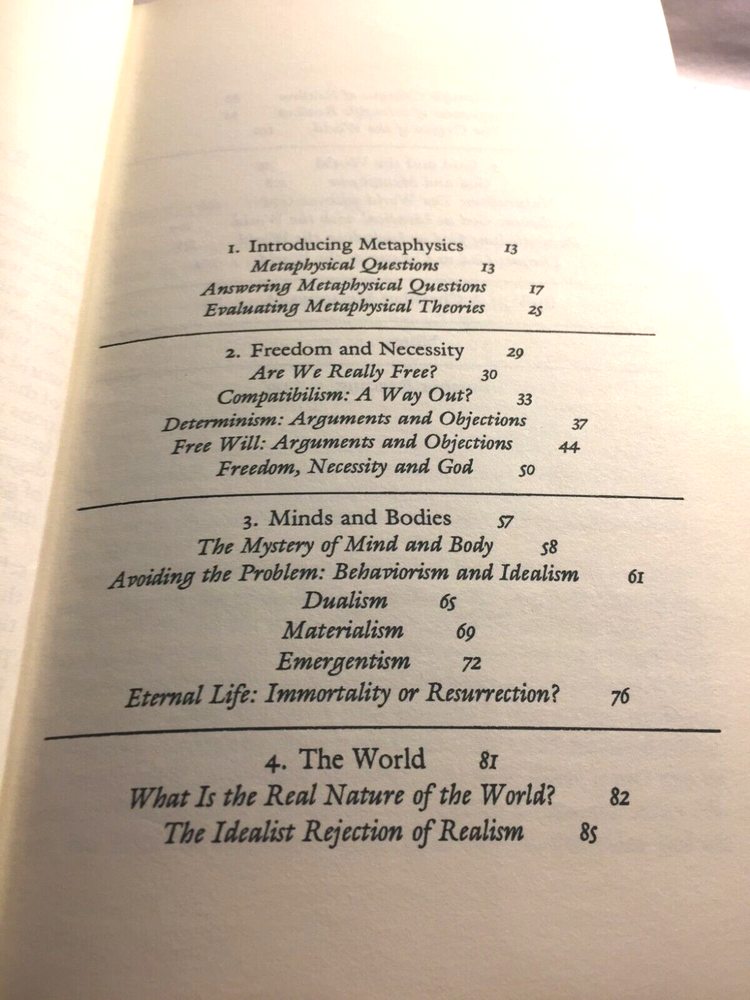 Metaphysics: Constructing a World View by William Hasker