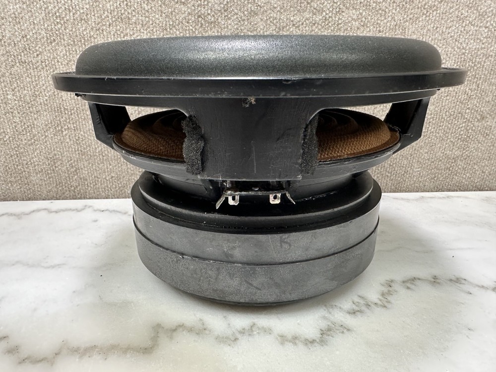 Sunfire 10" Subwoofer driver