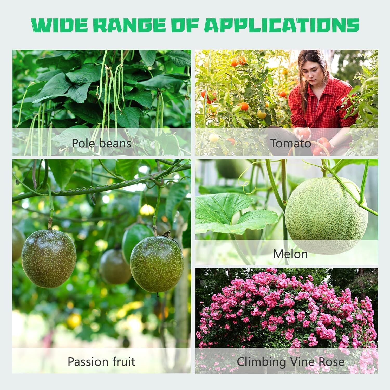 Garden Arch Trellis for Climbing Plants, 79'' Lx79''Wx79'' H Arch Arbor Trellis